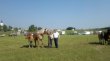 Wystawa koni zimnokrwistych w Bakałarzewie
