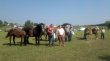Wystawa koni zimnokrwistych w Bakałarzewie